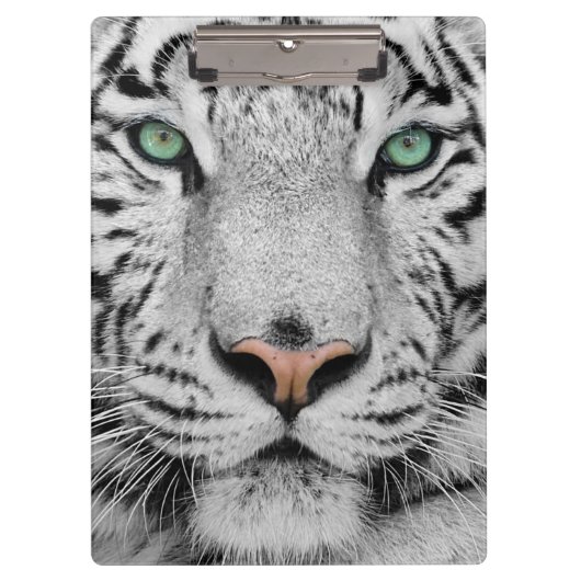 白いトラ クリップボード (正面)