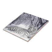 白いトラ タイル (側面)