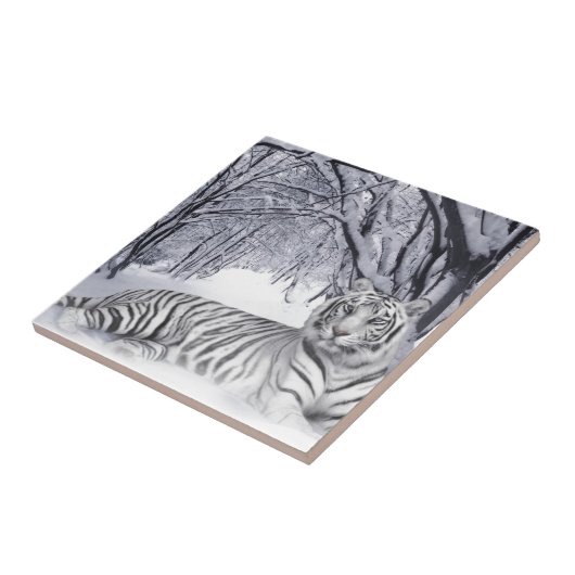 白いトラ タイル (側面)