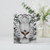 白いトラ ポストカード (スタンド正面)