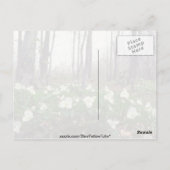 白いトリリウム色の花 ポストカード (裏面)