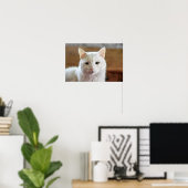 白いトルコアンゴラの猫の肖像画 ポスター (ホームオフィス)