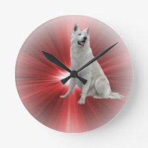 白いドイツの羊飼い