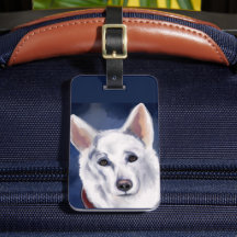 白いドイツの羊飼い