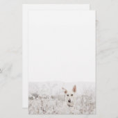 白いドイツの羊飼い 便箋 (正面/裏面)