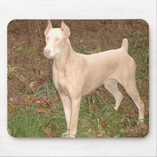 白いドーベルマン犬 マウスパッド