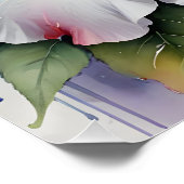 白いハイビスカスの花のポスター ポスター (コーナー)
