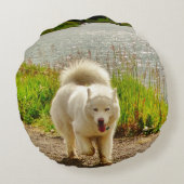 白いハスキーブルーの目: ラウンドクッション (裏面)