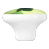 白いハナグマの花が閉まる  セラミックノブ (側面)