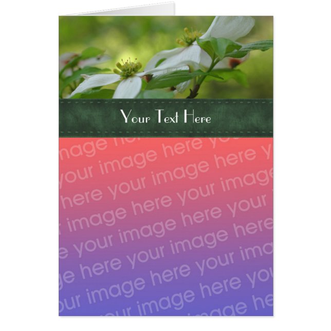 白いハナミズキの花あなたのフォトカード (正面)