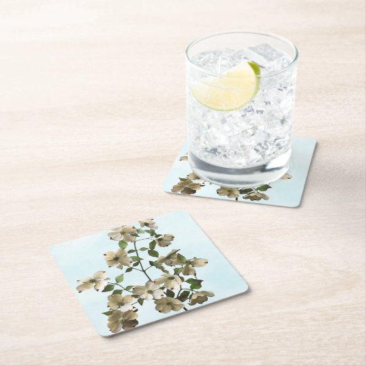 白いハナミズキの花の開花 スクエアペーパーコースター (インサイチュ)