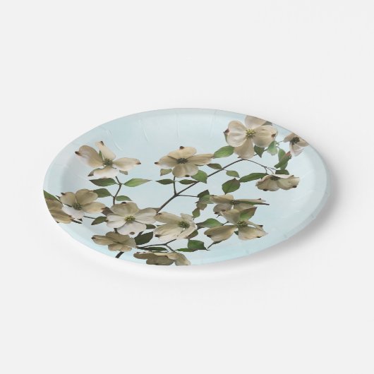 白いハナミズキの花の開花 ペーパープレート (アングル)