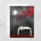 白いハロウィーン猫 ポストカード (正面/裏面)