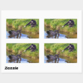 白いハンドギボンと黒い白鳥はがき 長方形シール (シート)