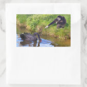 白いハンドギボンと黒い白鳥はがき 長方形シール (バッグ)