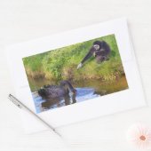 白いハンドギボンと黒い白鳥はがき 長方形シール (封筒)