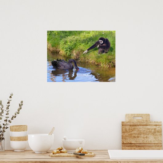 白いハンドギボンと黒い白鳥はがきrectan ポスター (キッチン)