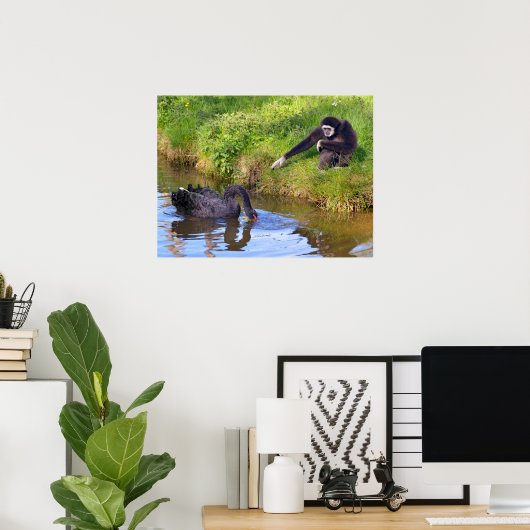 白いハンドギボンと黒い白鳥はがきrectan ポスター (ホームオフィス)