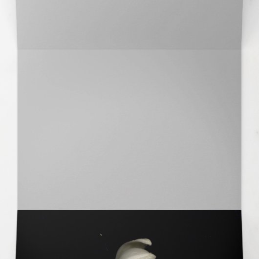 「白いハートの黒い月から」 & Future Journey 三つ折りクリスマスカード (内部中)