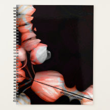 「白いハートは太陽から黒い」