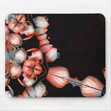 「白いハートは太陽から黒い」