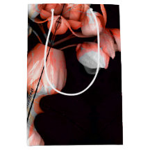 「白いハートは太陽から黒い」