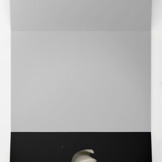 「白いハートは月から黒い」とIndifference 三つ折りクリスマスカード (内部中)