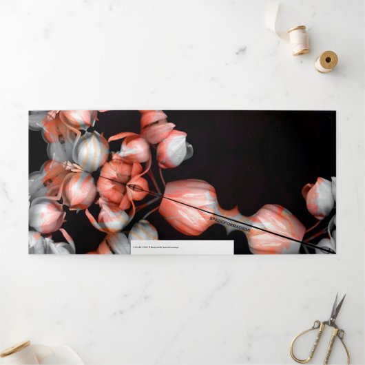 「白いハートを黒で太陽から」 & Journey 三つ折りクリスマスカード (外部)