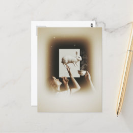 白いバニーとシュール茶 ポストカード