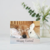 白いバニーイースターを持つ睡眠のゴールデン・リトリーバー シーズンポストカード (スタンド正面)