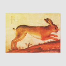 白いバニーウサギのカスタムな10lbティッシュペーパー