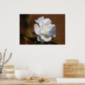 白いバラと意味 ポスター (キッチン)