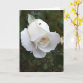 白いバラのアリ空白の カード (黄色い花)