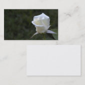 白いバラのビジネスまたはプロフィールカード 名刺 (正面/裏面)