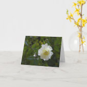 白いバラの影の妖精 カード (黄色い花)