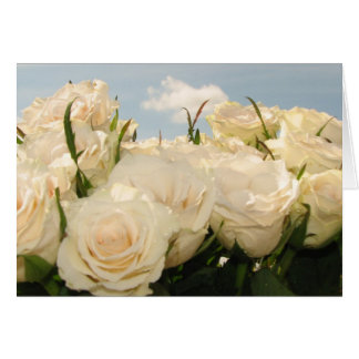 白いバラの歓喜