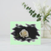 白いバラの燃えたエッジ ポストカード (スタンド正面)