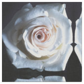 白いバラの生地 ファブリック (クローズアップ)