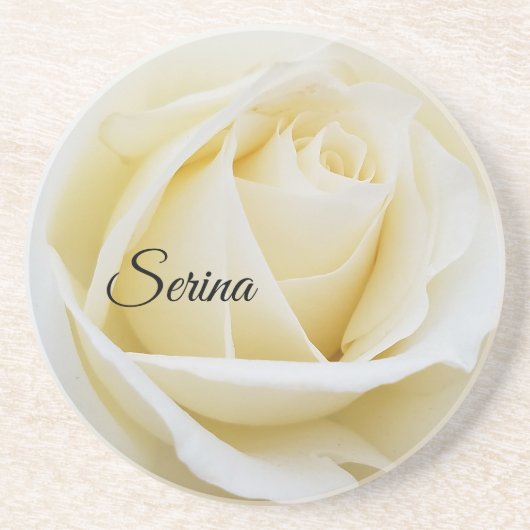 白いバラの白いバラのクローズアップ写真 コースター (正面)