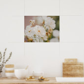 白いバラの花の植物自然写真 ポスター (キッチン)