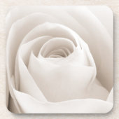 白いバラの花びらの閉めて下さい コースター (正面)