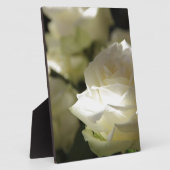 白いバラの花柄の花の運命の庭 フォトプラーク (側面)