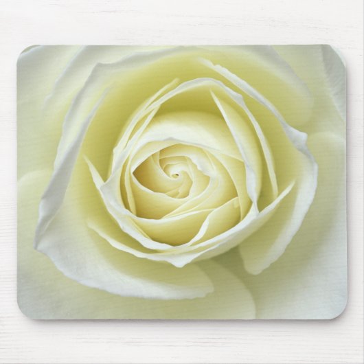 白いバラの詳細を閉じる マウスパッド (正面)