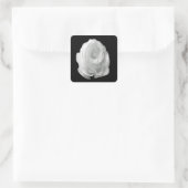 白いバラの黒い背景 スクエアシール (バッグ)