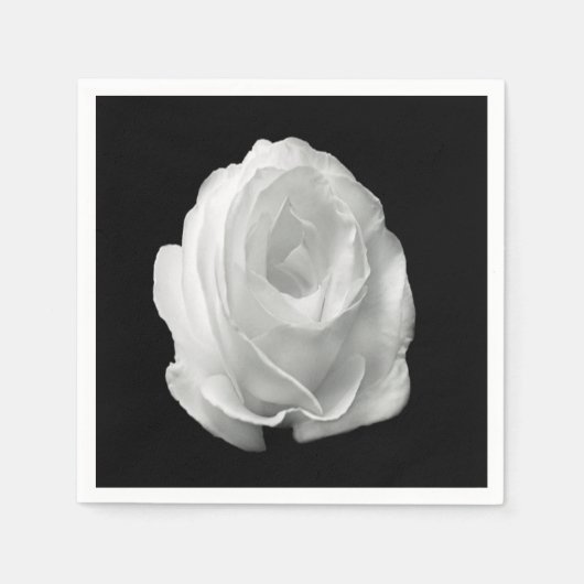 白いバラの黒い背景 スタンダードカクテルナプキン (正面)