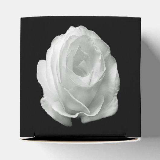 白いバラの黒い背景 フェイバーボックス (上部)