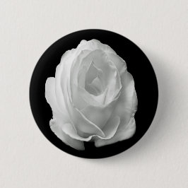 白いバラの黒い背景 缶バッジ