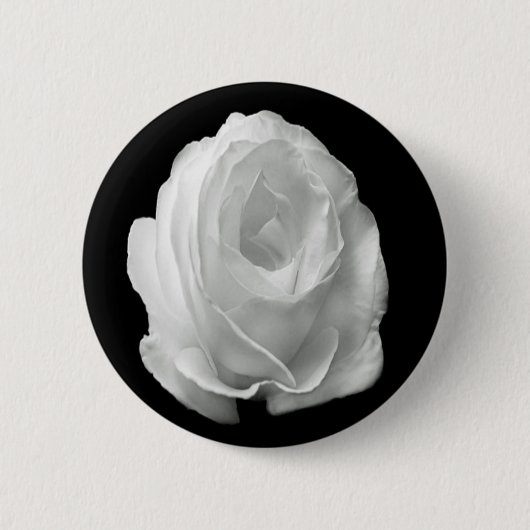 白いバラの黒い背景 缶バッジ (正面)