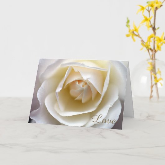 白いバラ愛 カード (黄色い花)