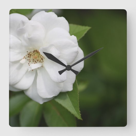白いバラ時計 スクエア壁時計 (正面)
